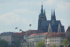 Praha: Na nudu nezbyl čas